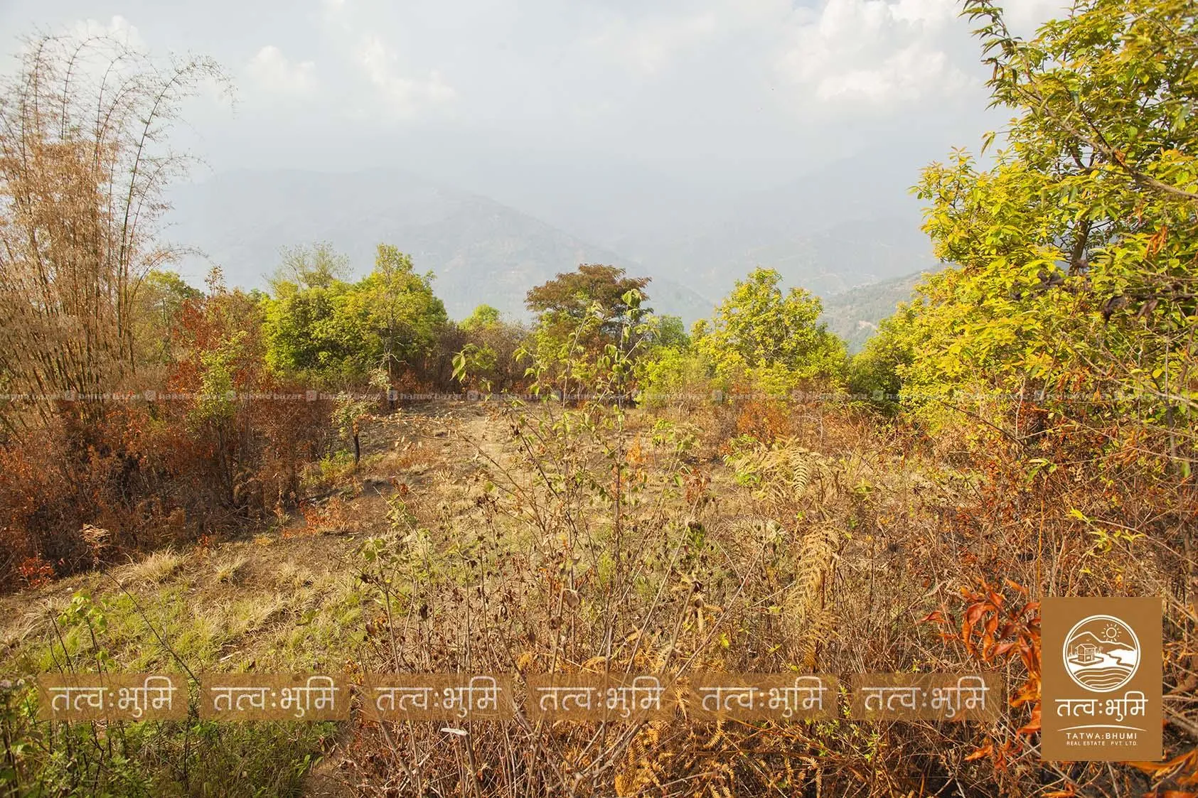 9 Ropani land for sale in Ghalebhanjyag- Nuwakot. 3