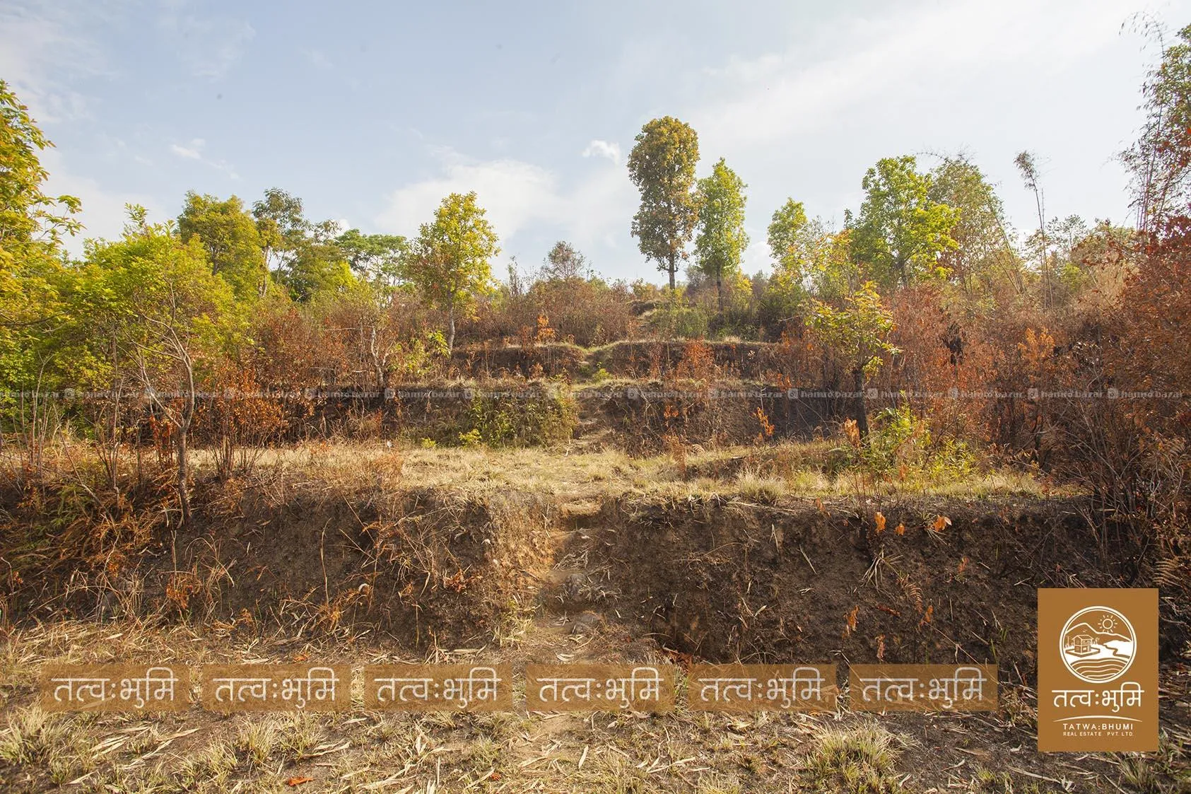 9 Ropani land for sale in Ghalebhanjyag- Nuwakot. 2