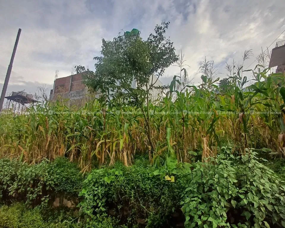 Land For Sale In Matathirtha 2