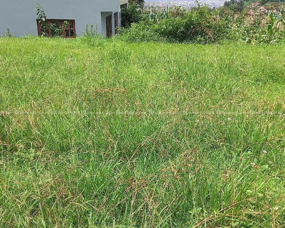 land on sale lalitpur ko lamatarko jagga ho 4
