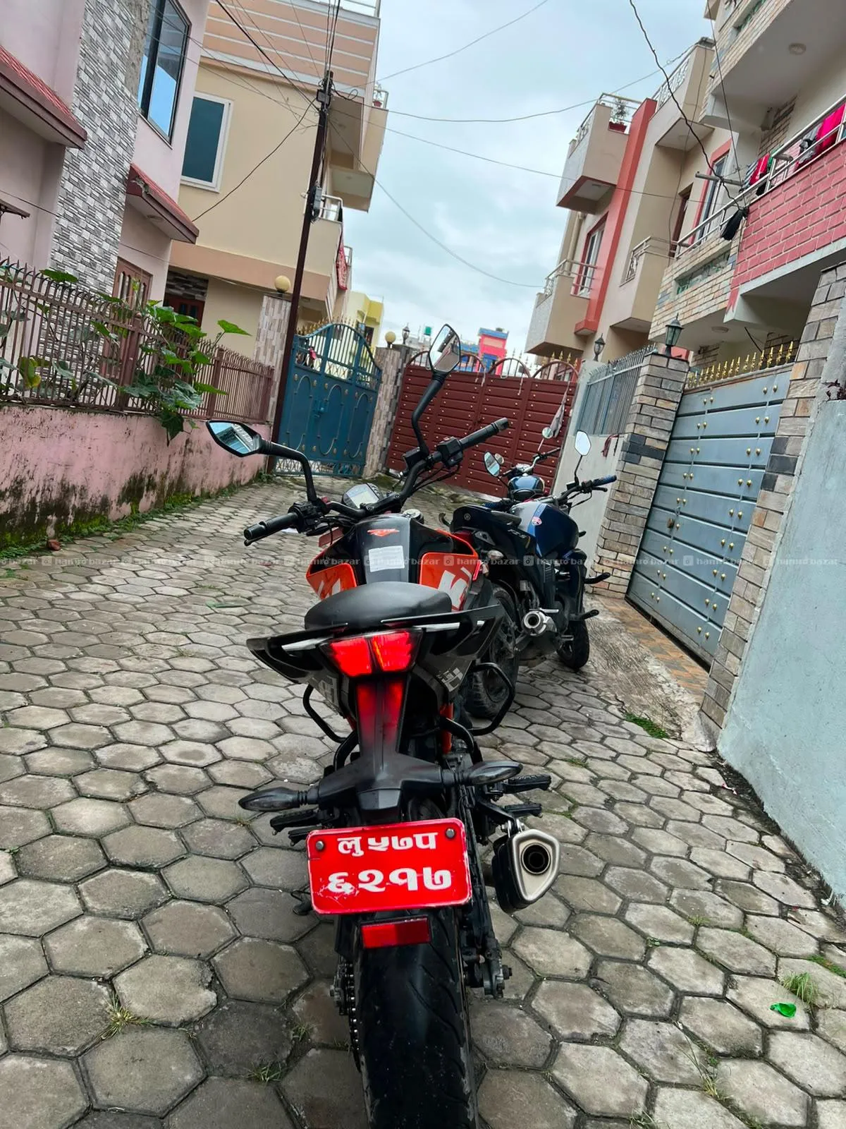 DUKE 250 2019 ABS 2