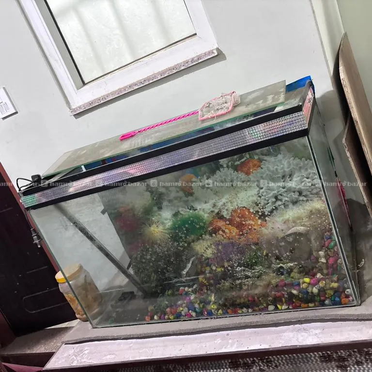 Aquarium Fish Tank 3