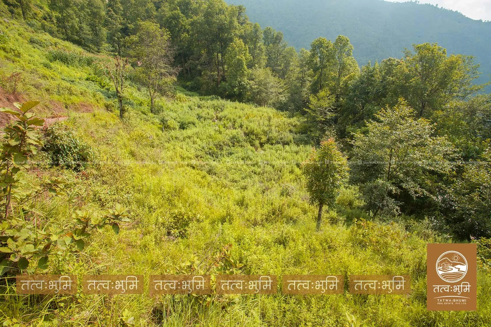2 Ropani land for sale in Chapabot - Nuwakot. 7