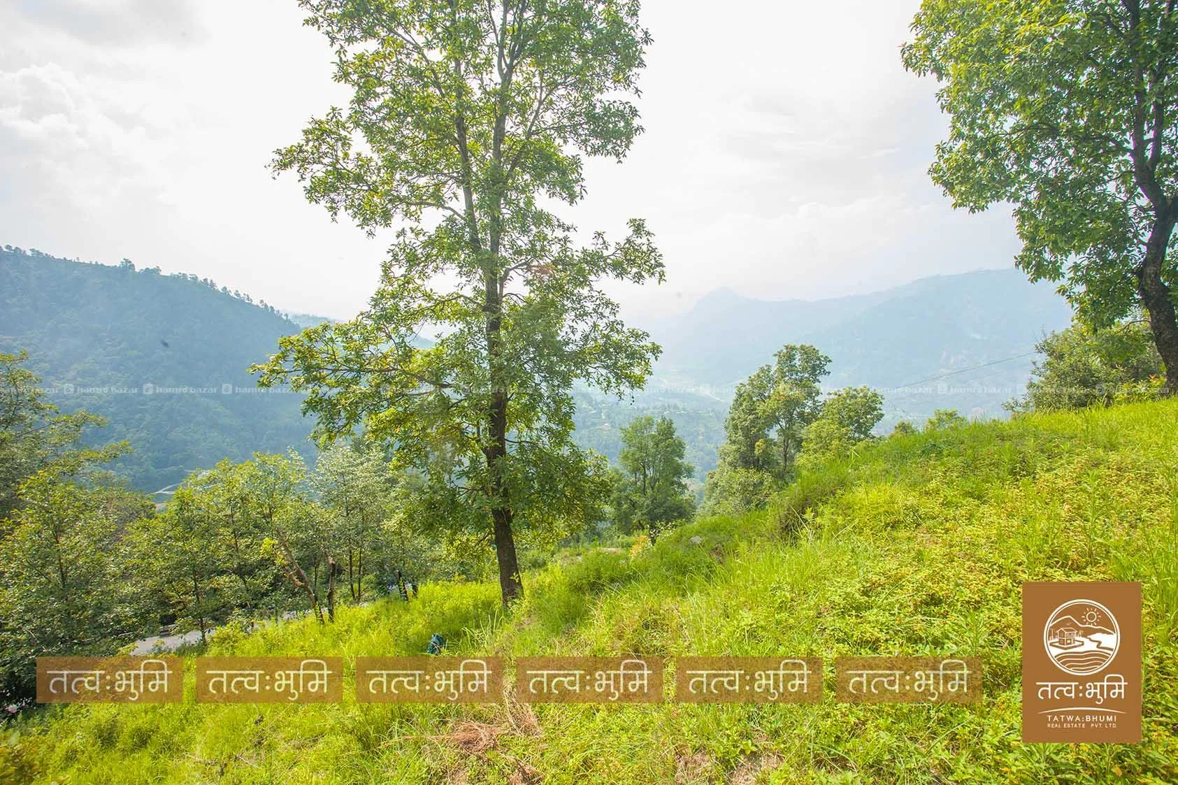 2 Ropani land for sale in Chapabot - Nuwakot. 3