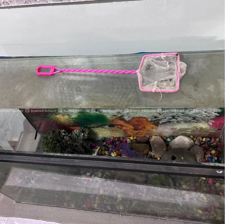 Aquarium Fish Tank 2