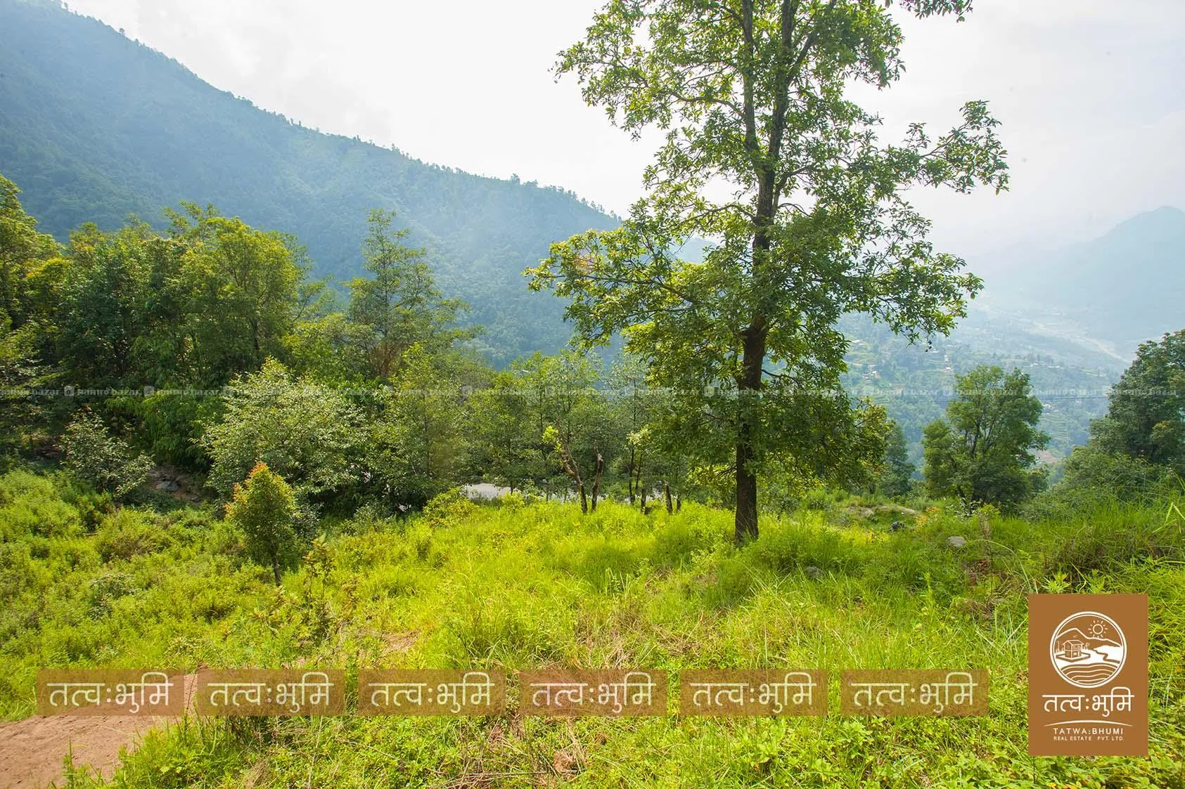 2 Ropani land for sale in Chapabot - Nuwakot. 4