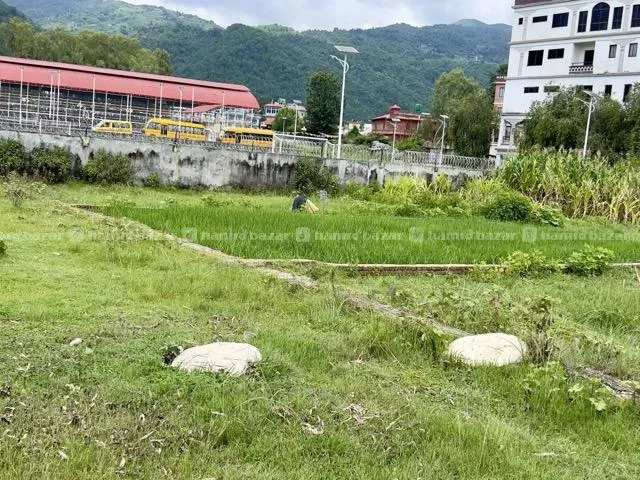 Land on sale 3