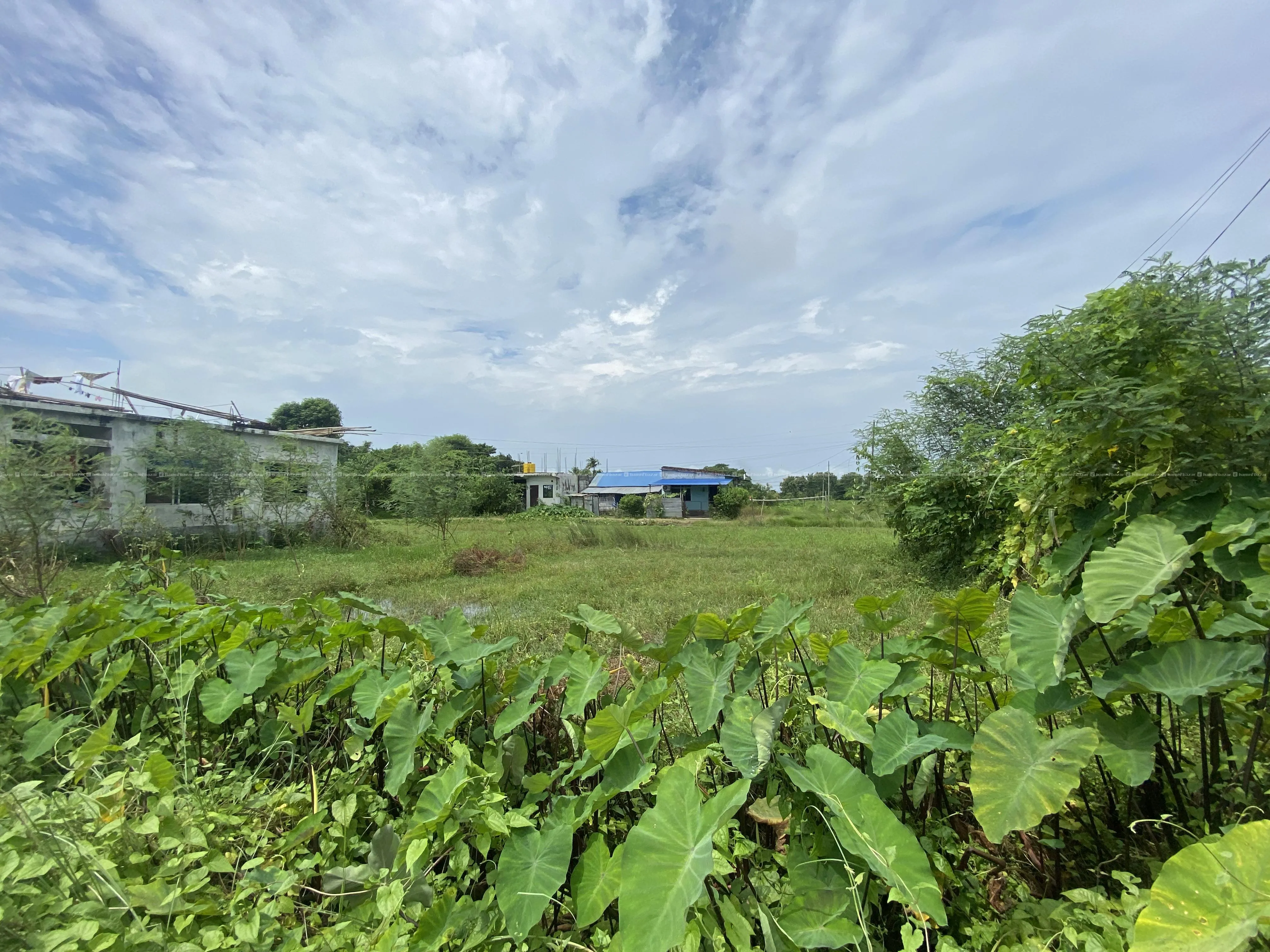 Land on Sale at Ghinaghat, Biratnagar 1