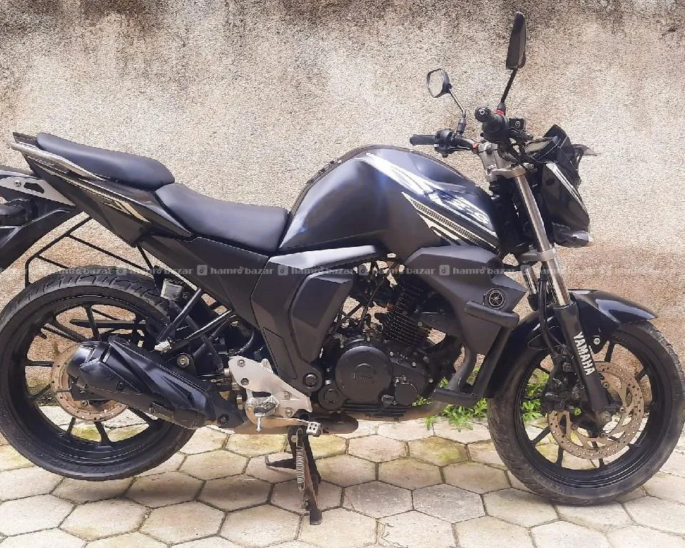 FZS v2 Double Disk (009)lot 4