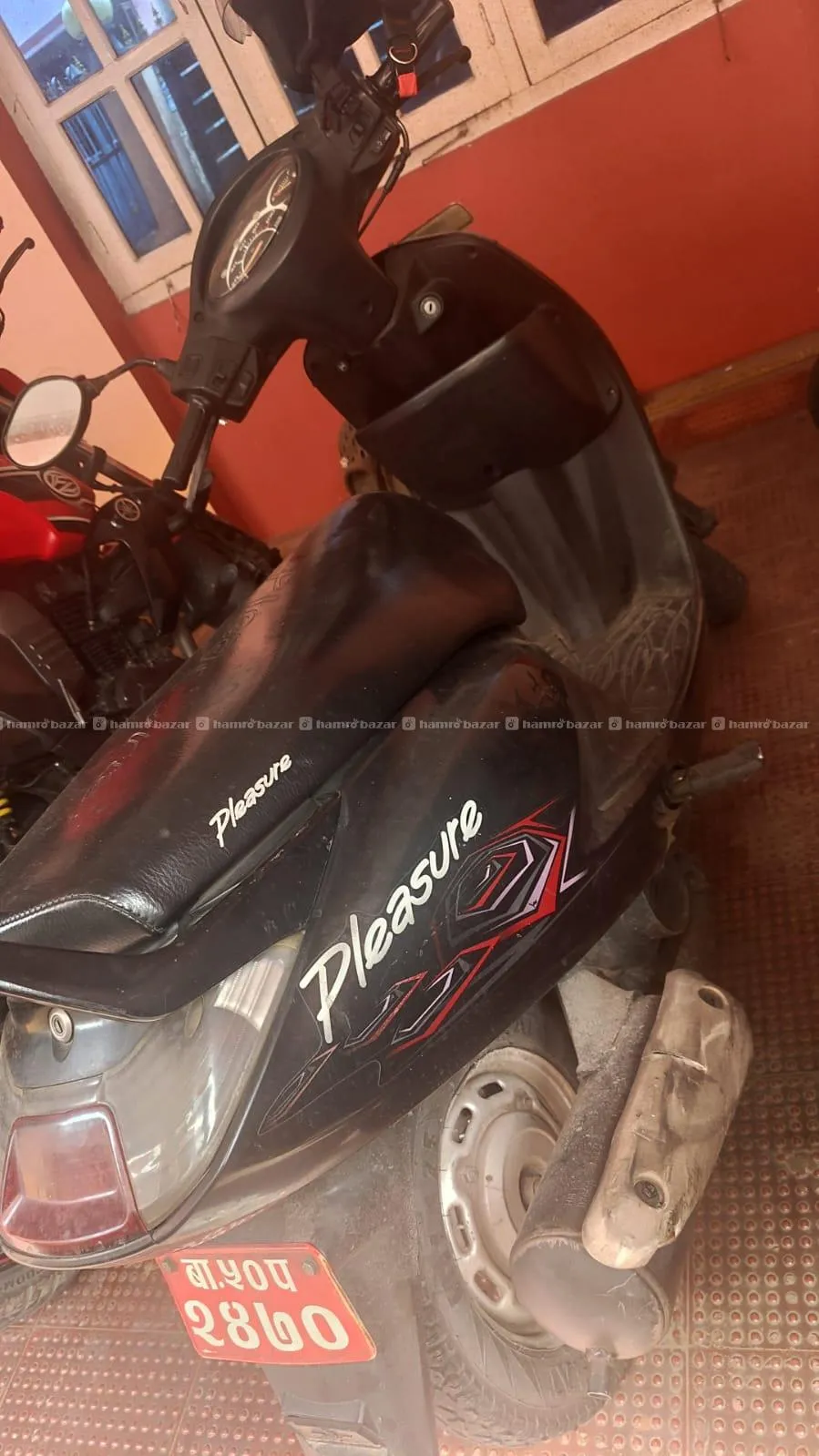 Pleasure Scoter on sell 4