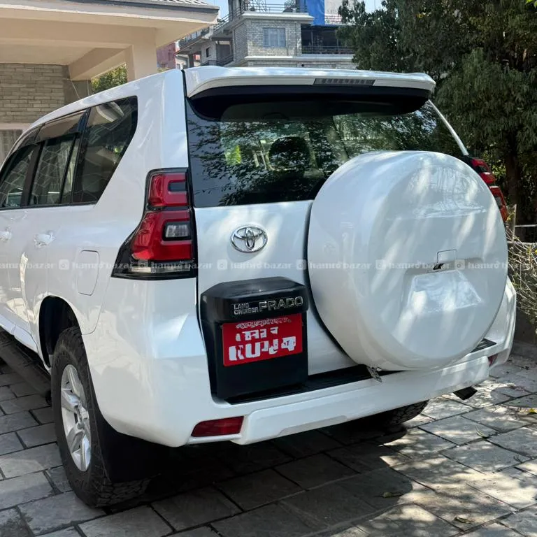 Fresh 2019 Prado TX M/T 3
