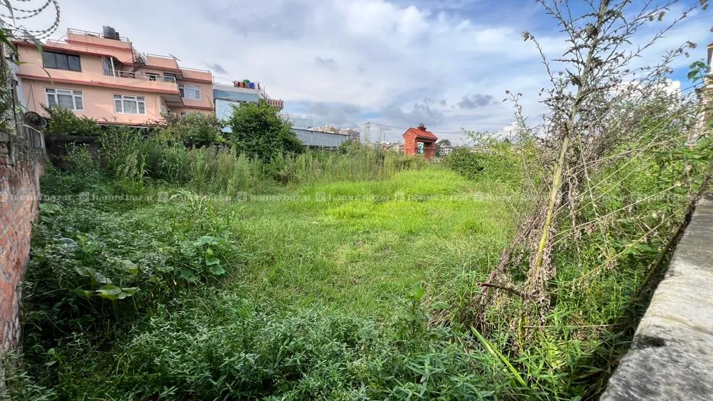 1.5 Ropani Land For Rent At Malpokhari Dhobighat