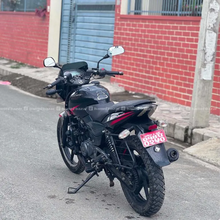 Plusar 150 Cc Fully Fresh Condition Lot-014 2