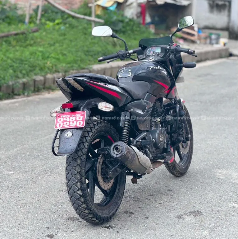 Plusar 150 Cc Fully Fresh Condition Lot-014 4