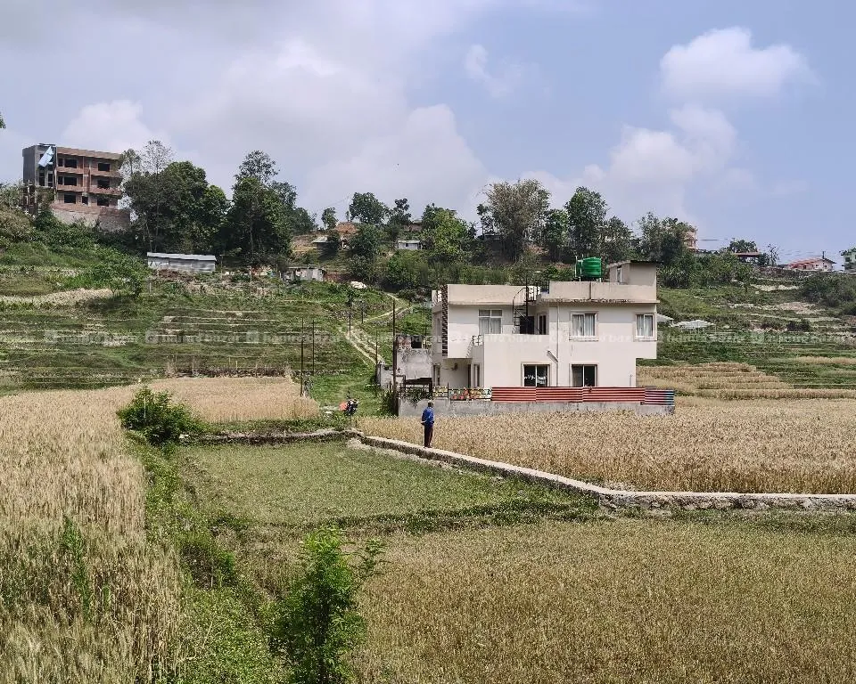 एकमुष्ट 20 आना जग्गा बिक्रीमा 2