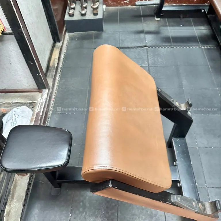 Prechur Curl Bench 2