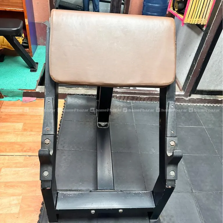 Prechur Curl Bench 3