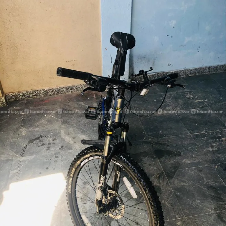 Cycle 4