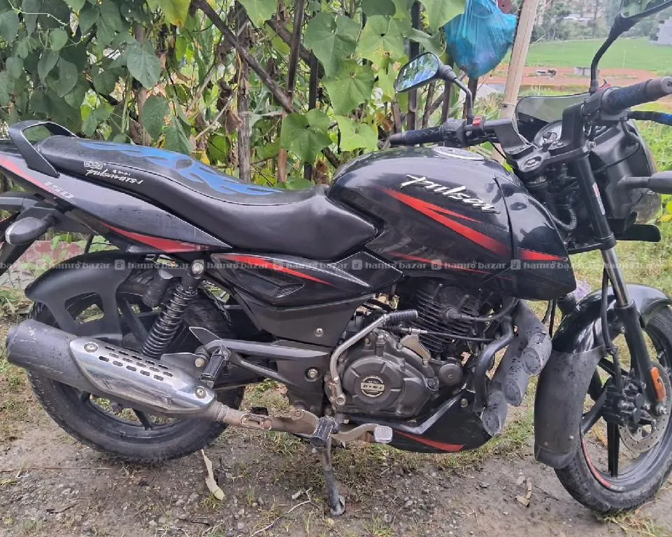 “Bajaj Pulsar 150 – Excellent Condition  3