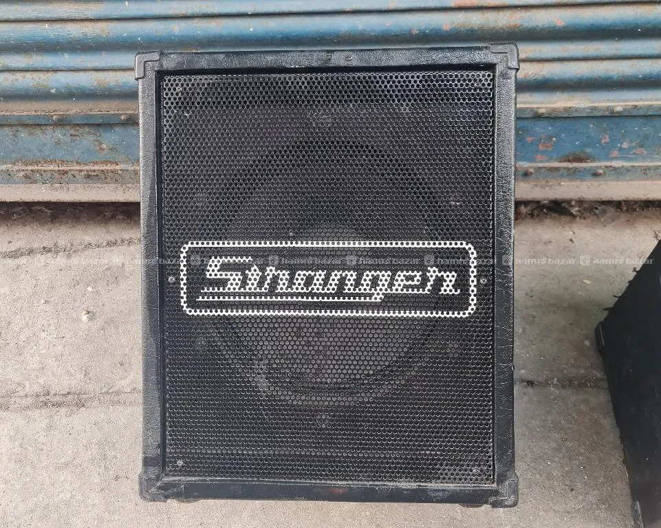 Stranger Cube 80M 3 input10" heavy duty speaker 4