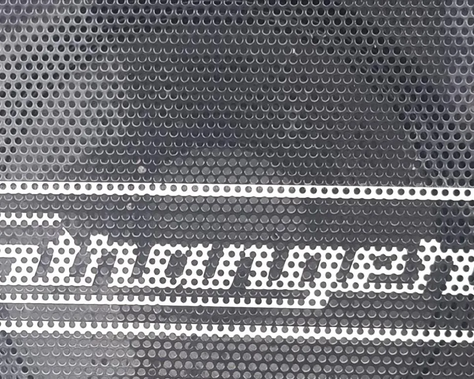 Stranger Cube 80M 3 input10" heavy duty speaker 2