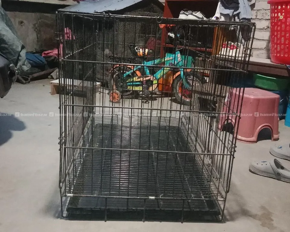 dog cage 3