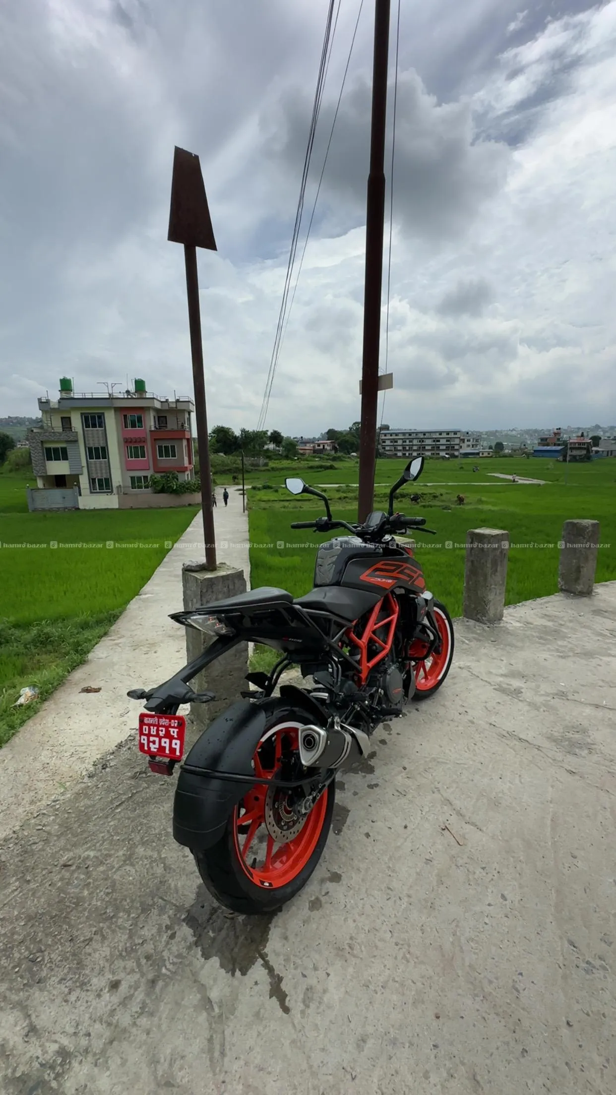 Duke 250 bs6 3