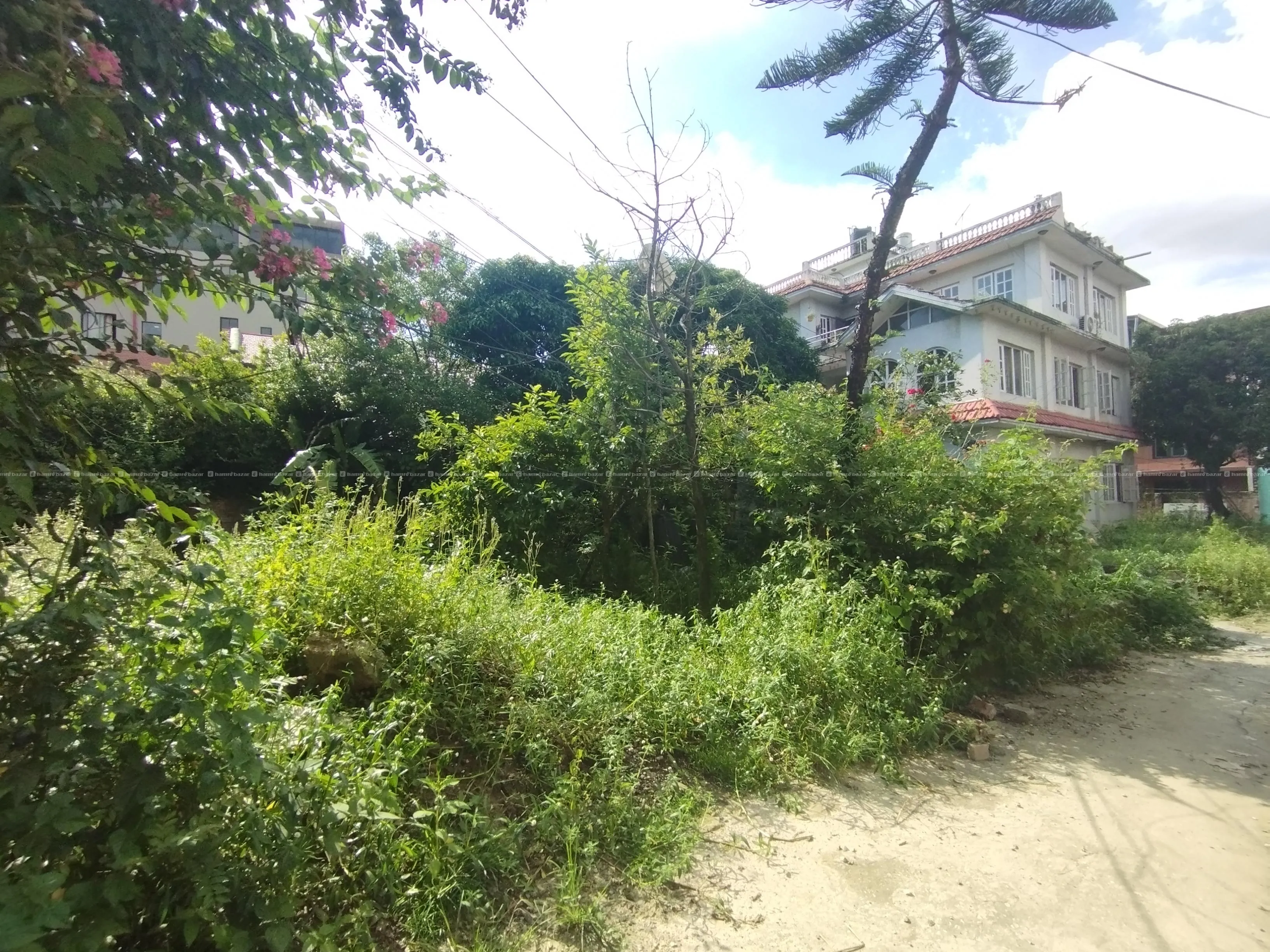 1 Ropani land for sale in Kupondole, Lalitpur. 3