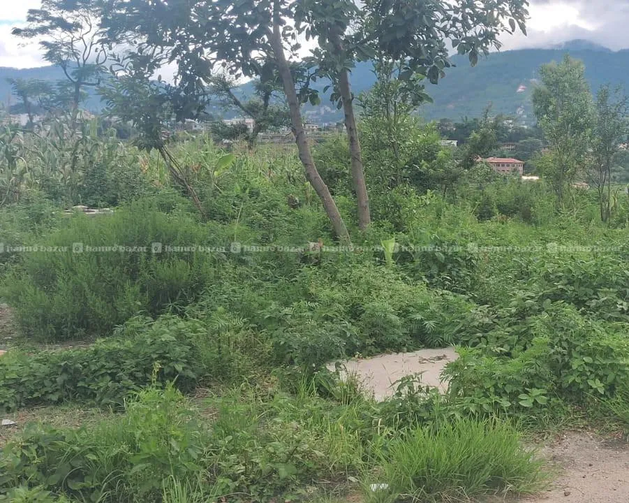 Land For Sale At Chapagaun Dobato 3