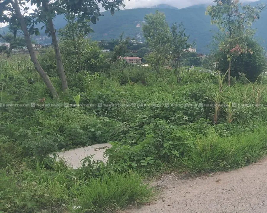 Land For Sale At Chapagaun Dobato 2