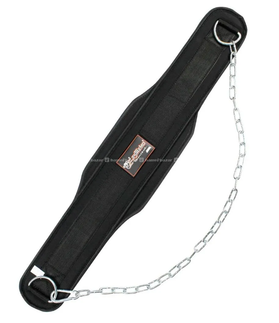Dip Belt 2