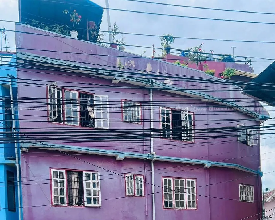 house for selp 3