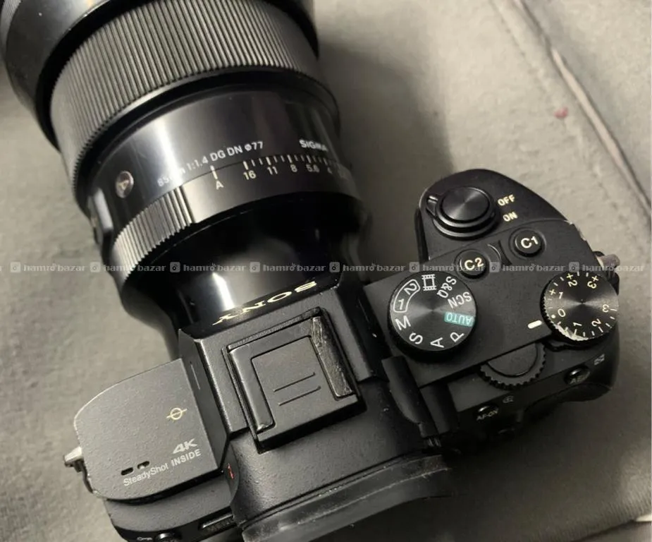 Sony A7iii With Sigma 85mm 1.4 DG DN 2