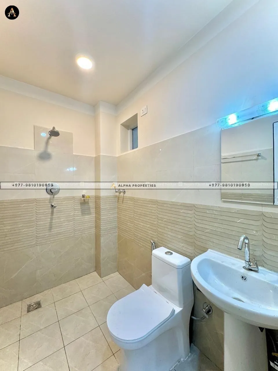 THAMEL | 2000 SQ FT OFFICE SPACE FOR RENT 7