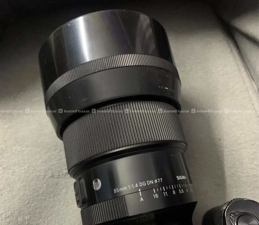 Sony A7iii With Sigma 85mm 1.4 DG DN 5