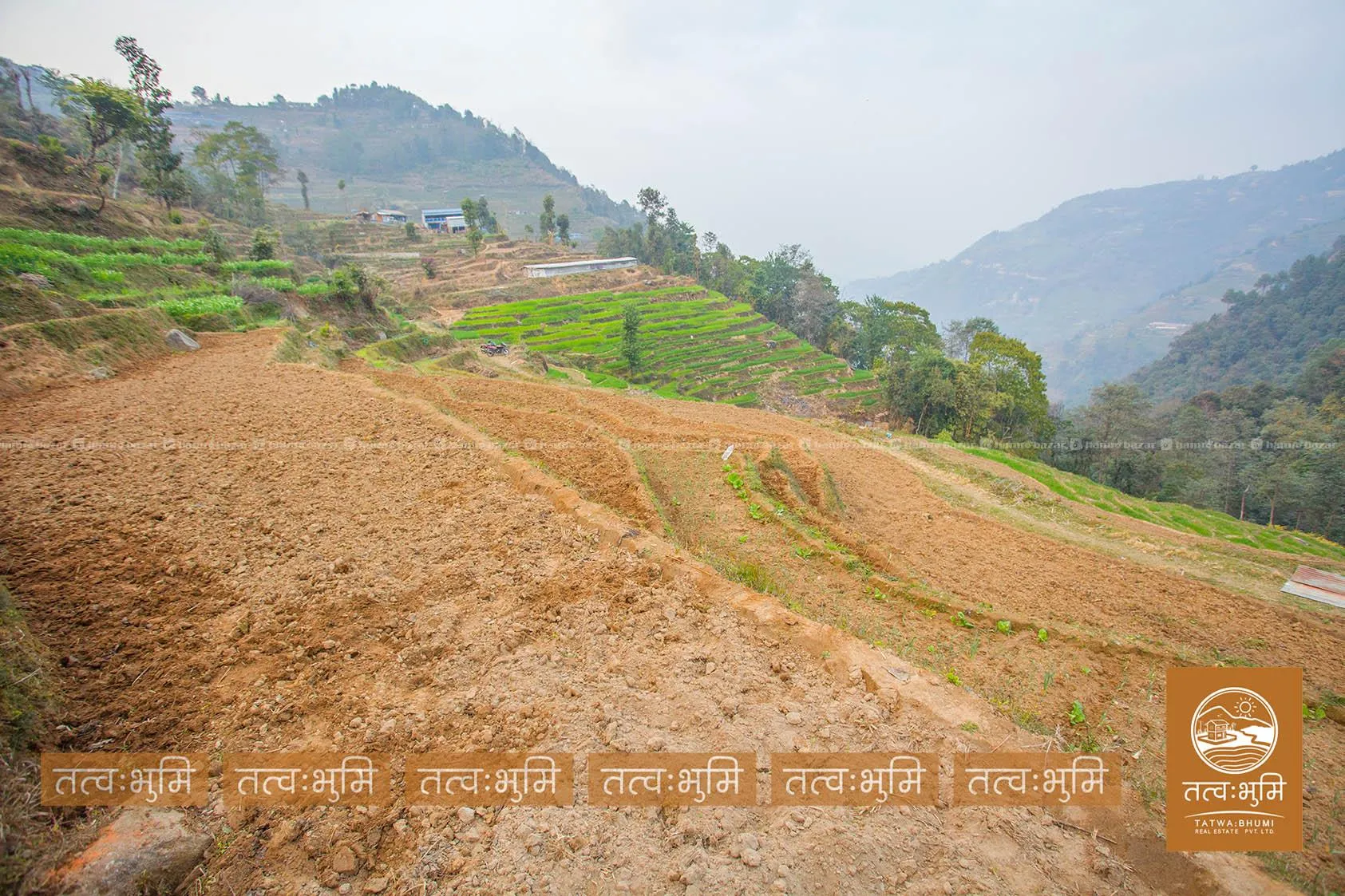 3 Ropani land for sale in 35 Kilo, Kakani-Nuwakot 8