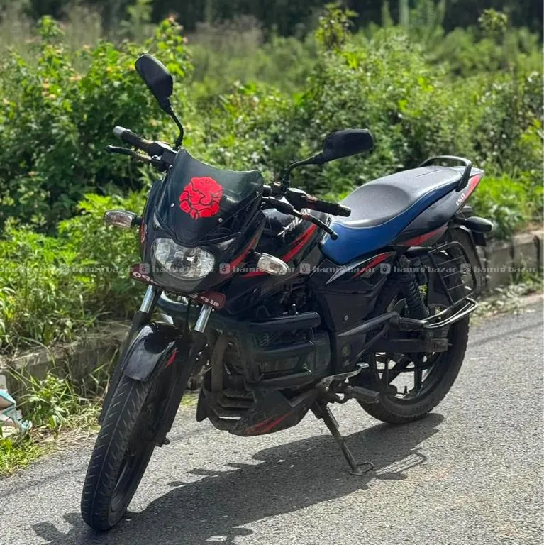 Pulsar 150 116 Lot Super Fresh Condition 3