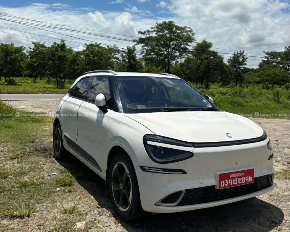 Dongfing Nammi E3 A One Condition Ev Car 2025 2