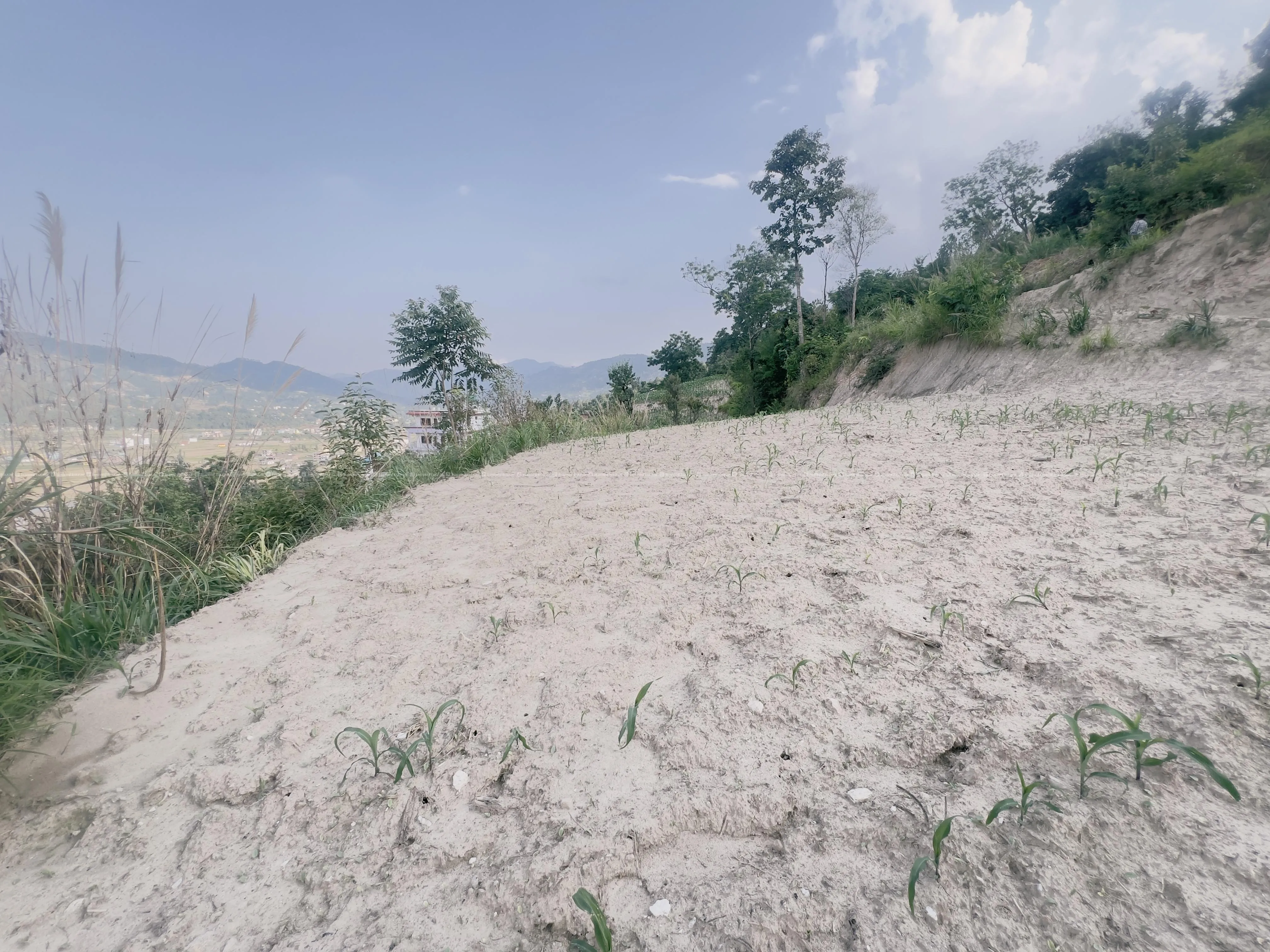 urgent land sale 2