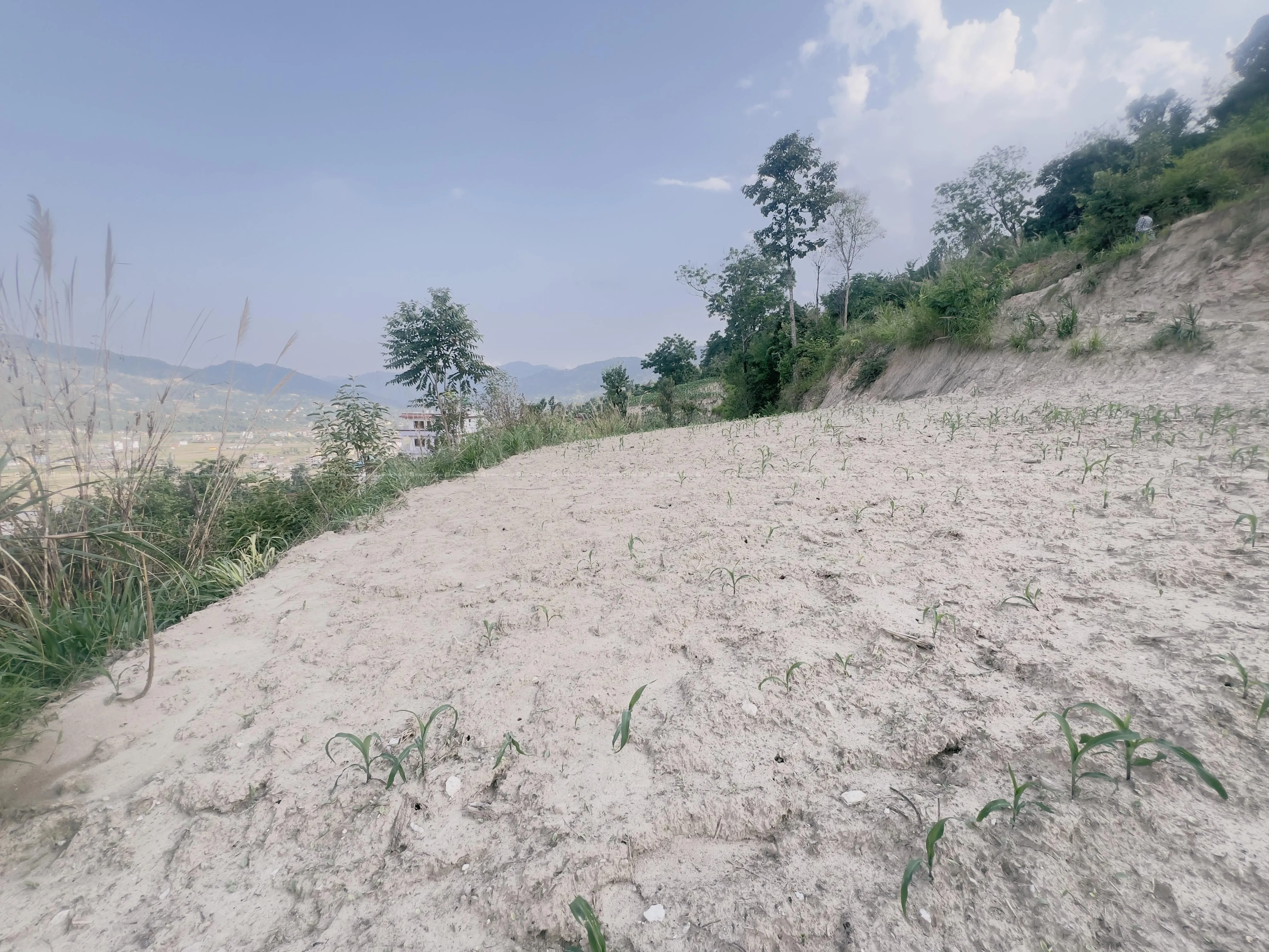 urgent land sale 3