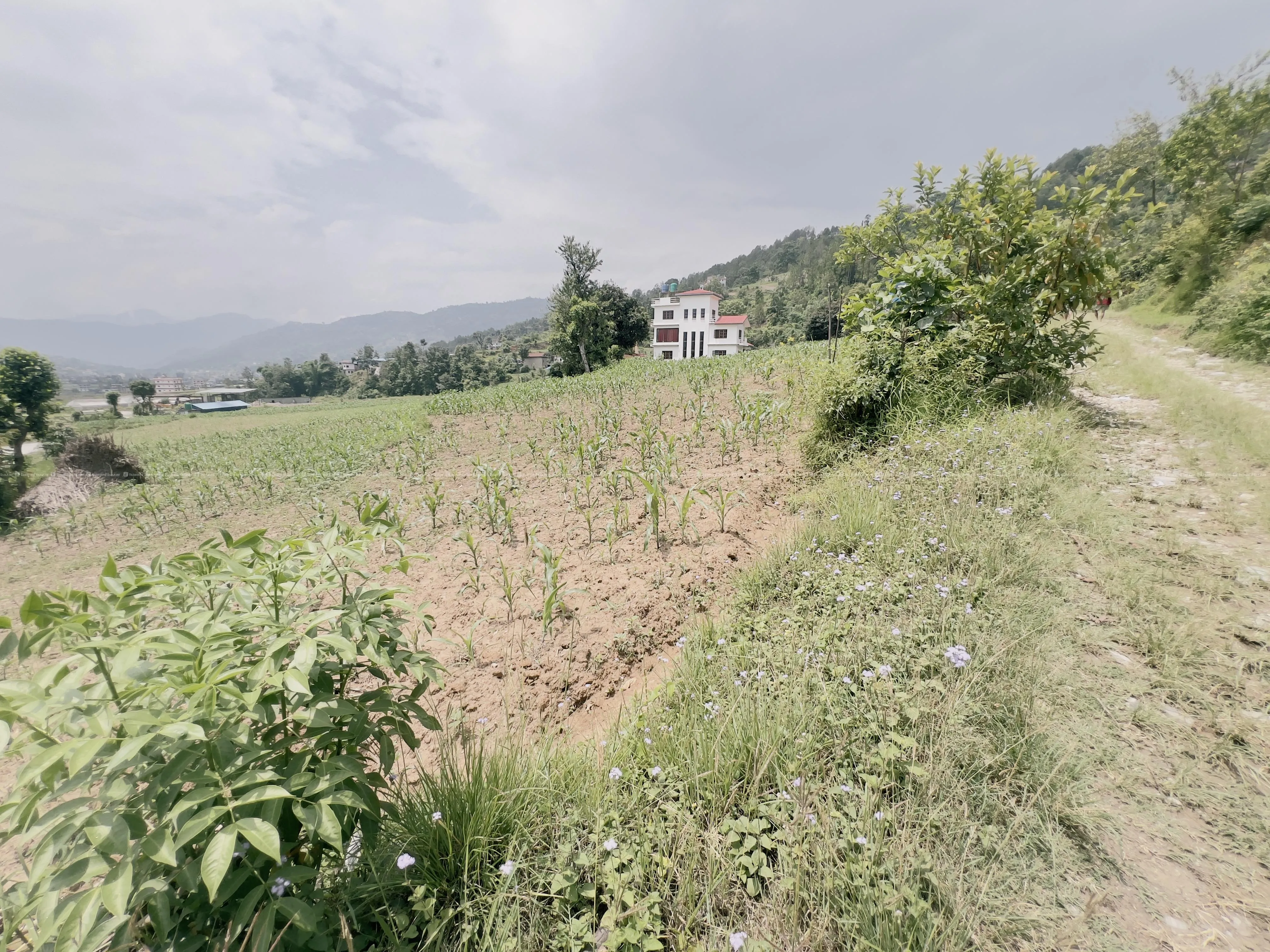 urgen land sale 2