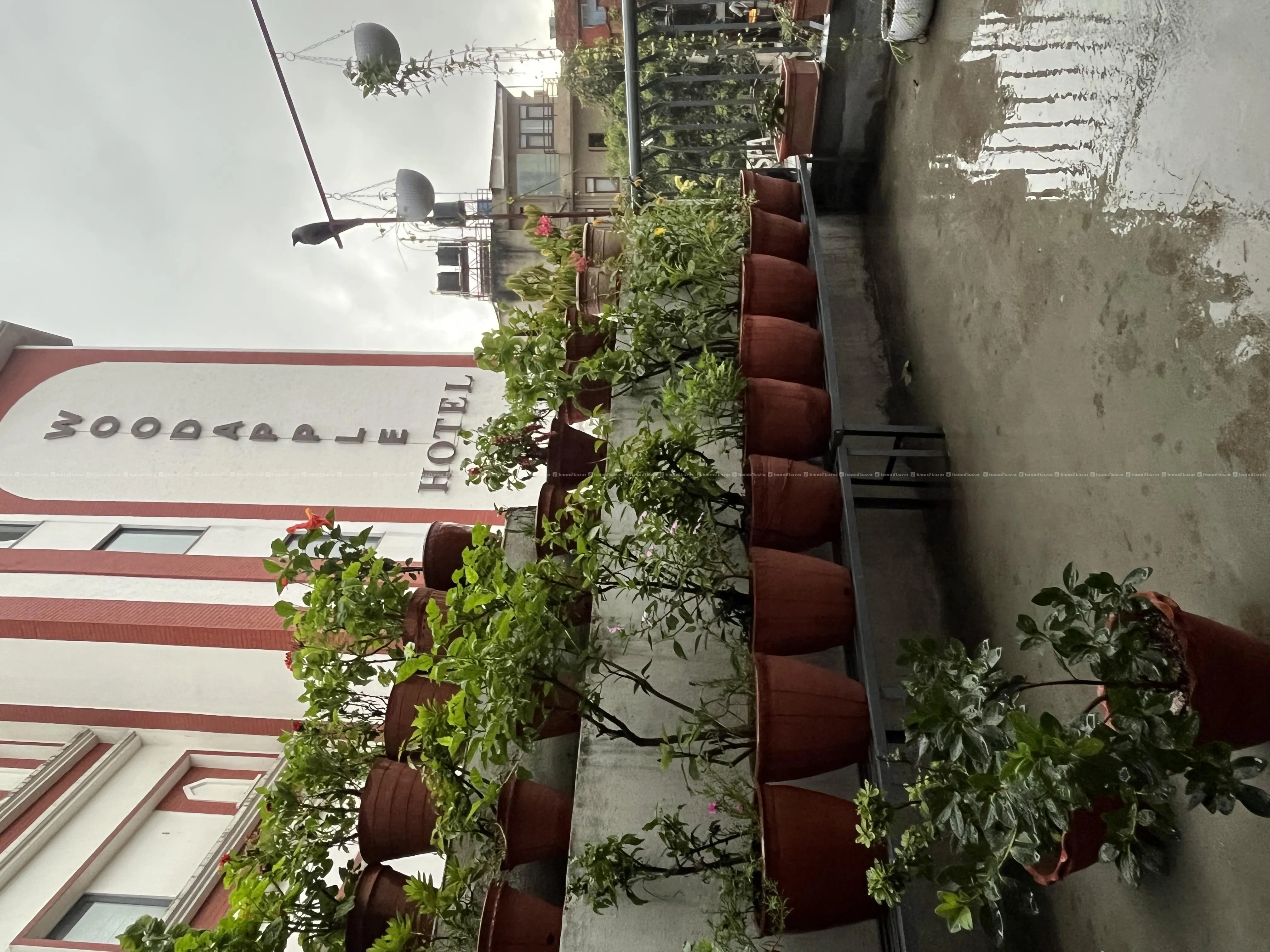 House in Thamel Paknajol 2