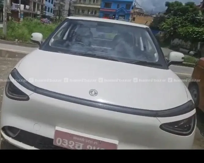 nammi dongfeng box e2 ..only 10 months old 2