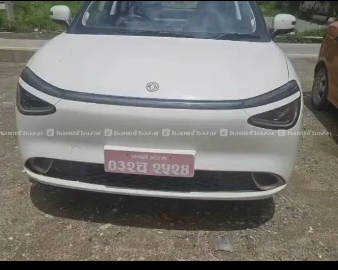 nammi dongfeng box e2 ..only 10 months old 3
