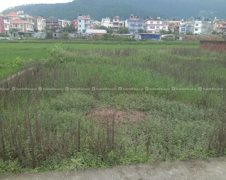 37 A1 aana land for sale Budhanilkantha 2
