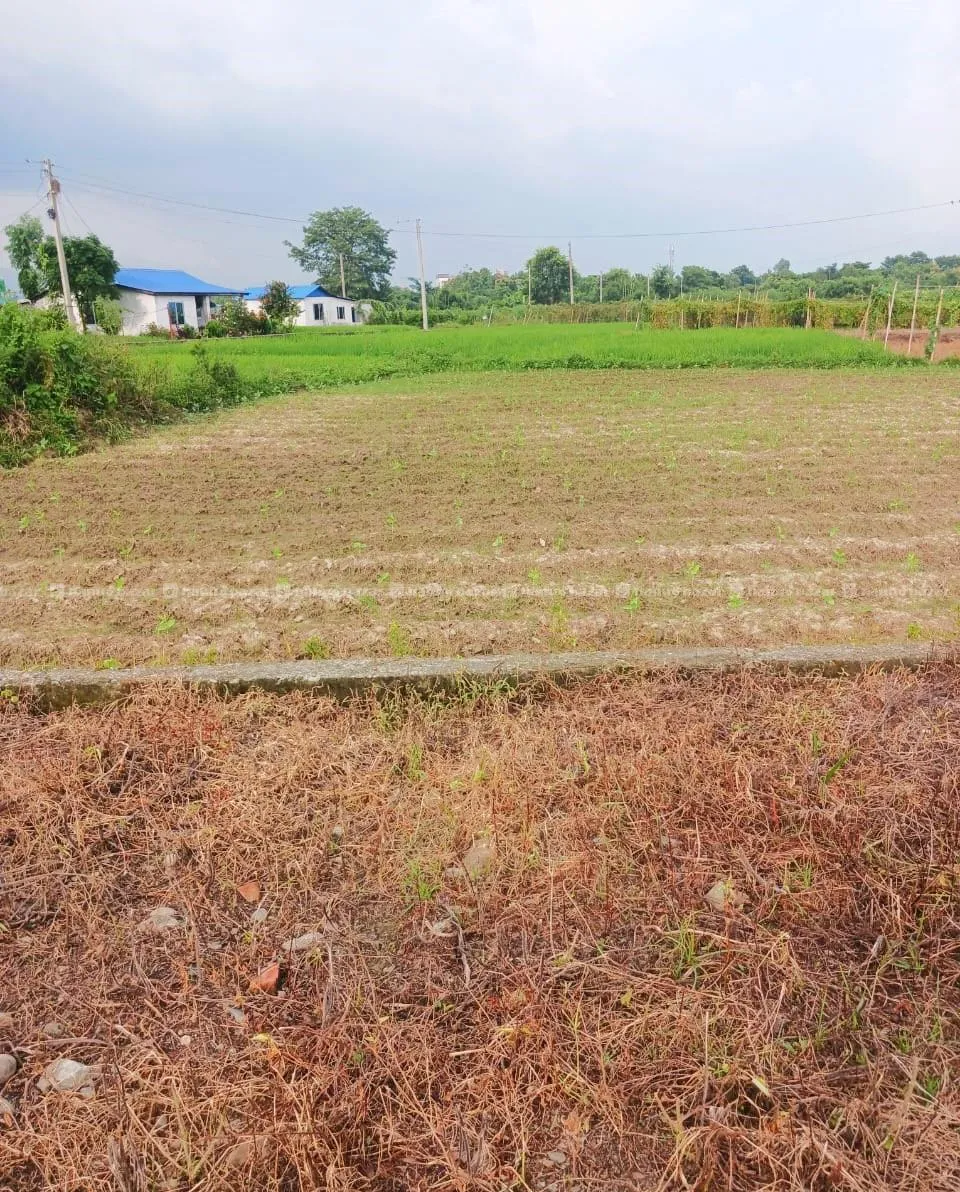 13.5 Dhur Land For Sale in Itahari 10, Sunsari 4