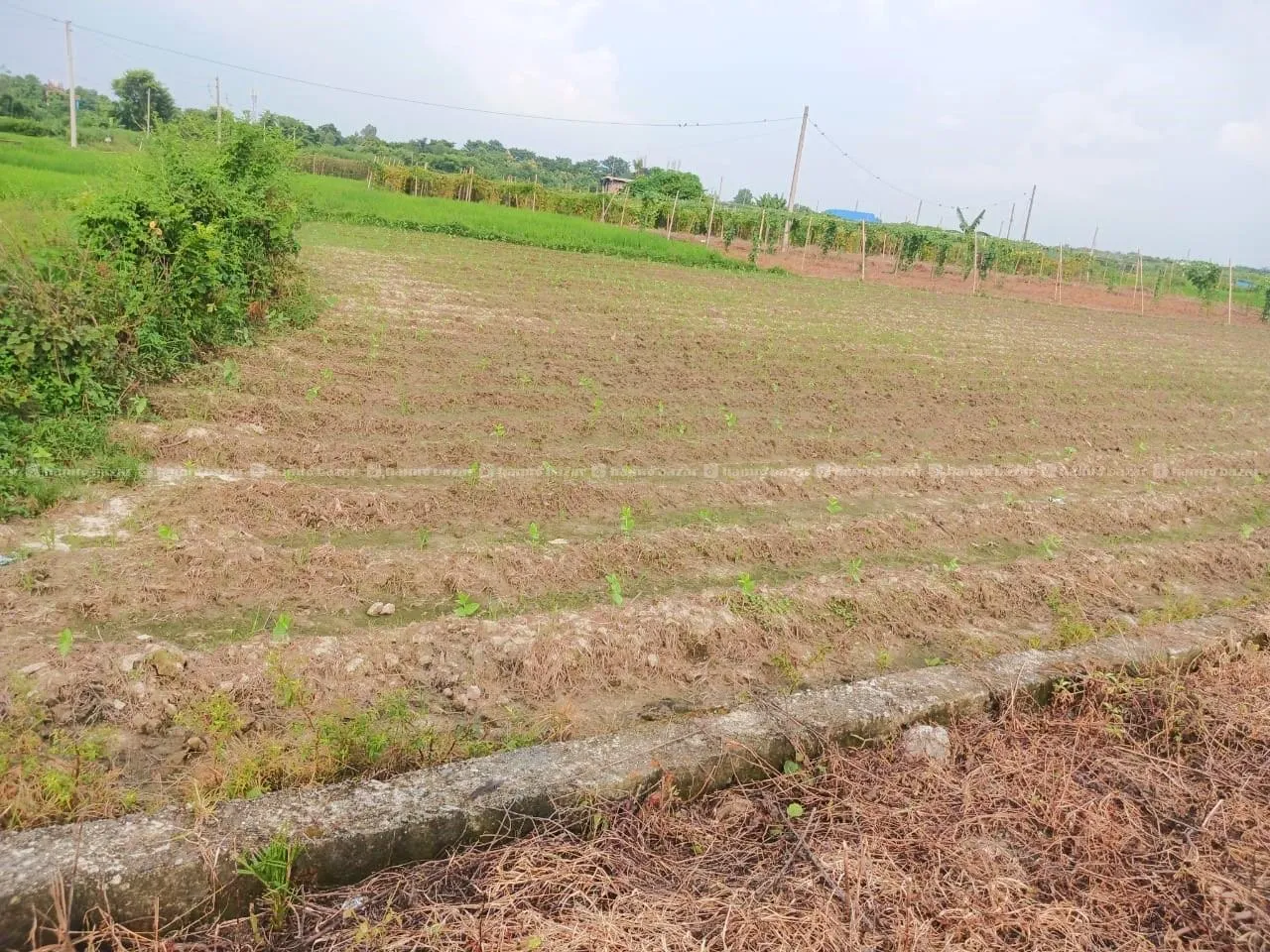 13.5 Dhur Land For Sale in Itahari 10, Sunsari 2