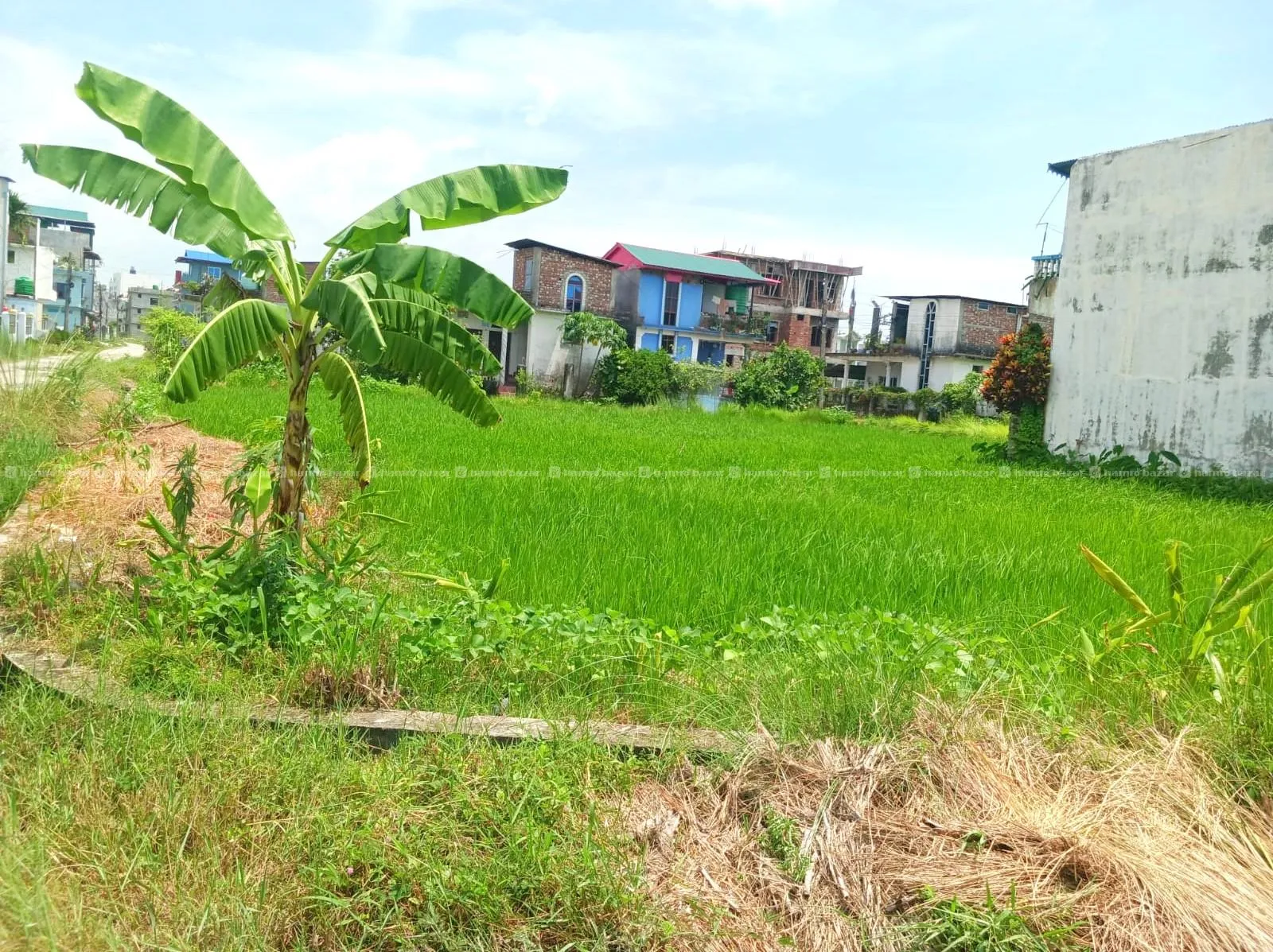8.5 Dhur Land for Sale in Itahari 1, Pipal Chowk 5