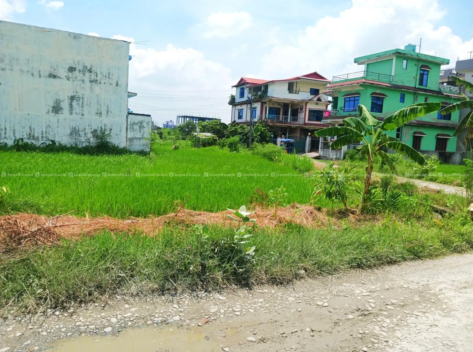 8.5 Dhur Land for Sale in Itahari 1, Pipal Chowk 4