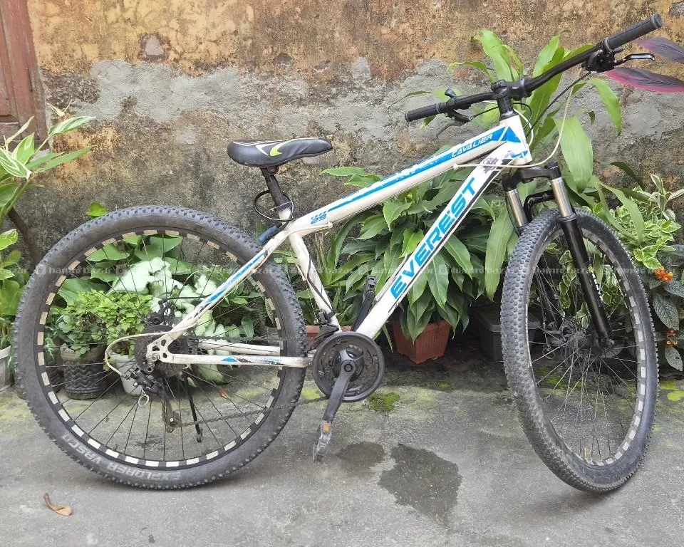 Everest 29 inch MTB Bicycle 3